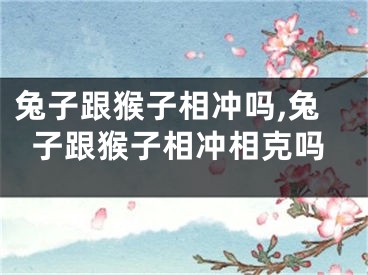 兔子跟猴子相冲吗,兔子跟猴子相冲相克吗