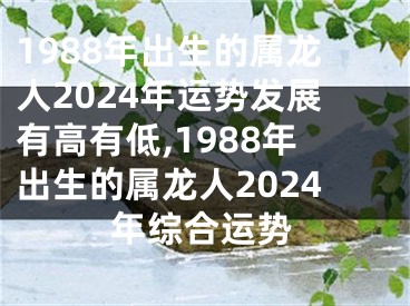 1988年出生的属龙人2024年运势发展有高有低,1988年出生的属龙人2024年综合运势