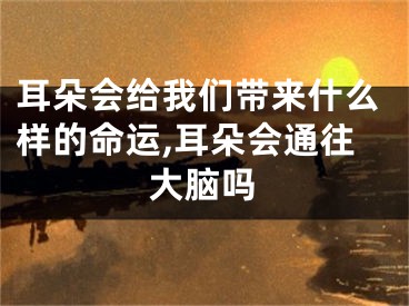 耳朵会给我们带来什么样的命运,耳朵会通往大脑吗