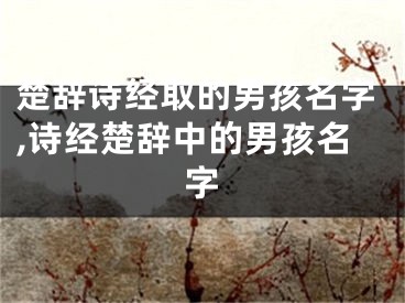 楚辞诗经取的男孩名字,诗经楚辞中的男孩名字