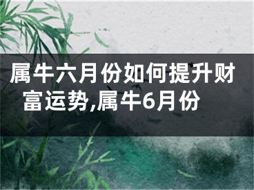 属牛六月份如何提升财富运势,属牛6月份