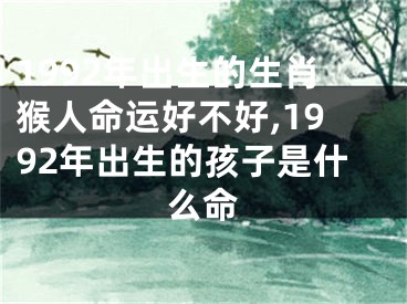 1992年出生的生肖猴人命运好不好,1992年出生的孩子是什么命