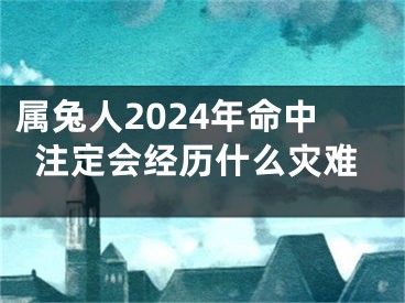 属兔人2024年命中注定会经历什么灾难