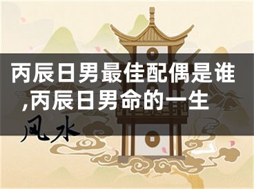 丙辰日男最佳配偶是谁,丙辰日男命的一生