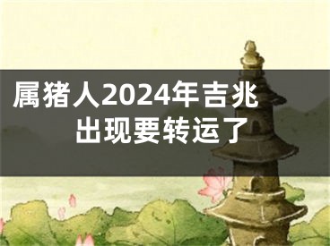 属猪人2024年吉兆出现要转运了