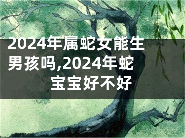 2024年属蛇女能生男孩吗,2024年蛇宝宝好不好
