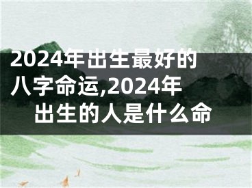 2024年出生最好的八字命运,2024年出生的人是什么命