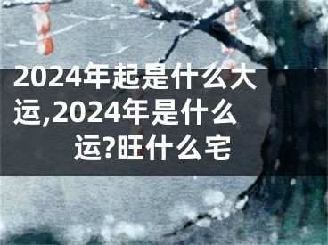 2024年起是什么大运,2024年是什么运?旺什么宅