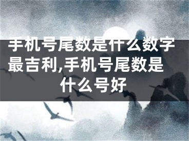 手机号尾数是什么数字最吉利,手机号尾数是什么号好