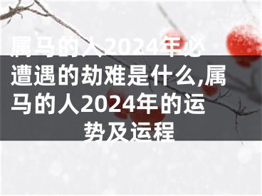 属马的人2024年必遭遇的劫难是什么,属马的人2024年的运势及运程