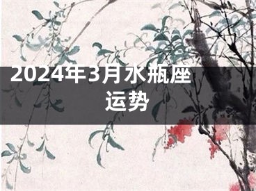 2024年3月水瓶座运势