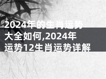 2024年的生肖运势大全如何,2024年运势12生肖运势详解