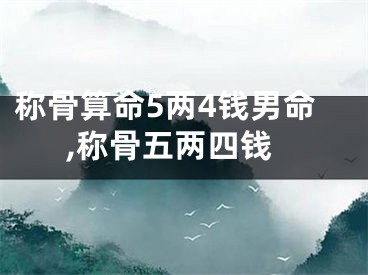称骨算命5两4钱男命,称骨五两四钱