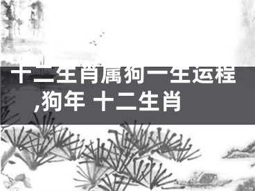 十二生肖属狗一生运程,狗年 十二生肖