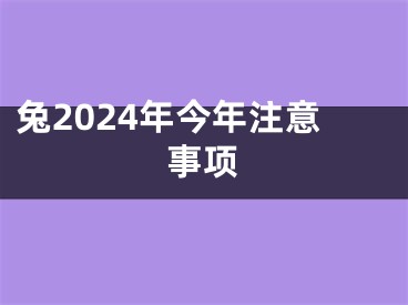 兔2024年今年注意事项
