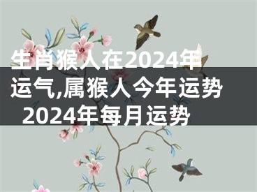 生肖猴人在2024年运气,属猴人今年运势2024年每月运势