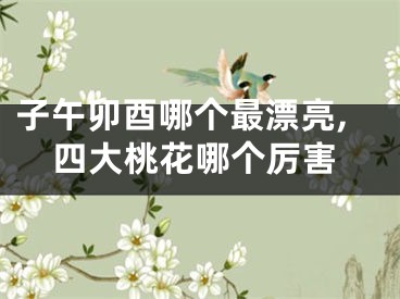 子午卯酉哪个最漂亮,四大桃花哪个厉害