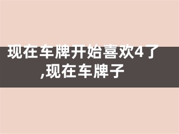 现在车牌开始喜欢4了,现在车牌子