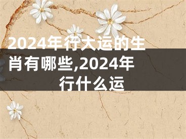 2024年行大运的生肖有哪些,2024年行什么运