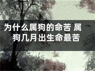 为什么属狗的命苦 属狗几月出生命最苦