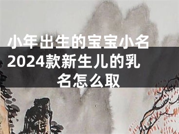 小年出生的宝宝小名 2024款新生儿的乳名怎么取