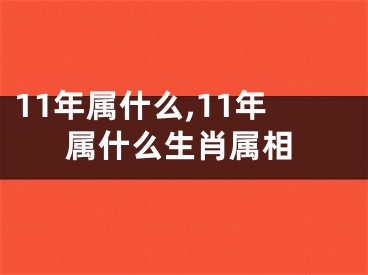 11年属什么,11年属什么生肖属相