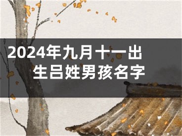 2024年九月十一出生吕姓男孩名字
