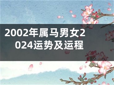 2002年属马男女2024运势及运程