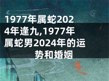 1977年属蛇2024年逢九,1977年属蛇男2024年的运势和婚姻