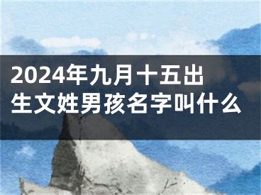 2024年九月十五出生文姓男孩名字叫什么