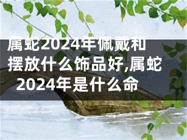 属蛇2024年佩戴和摆放什么饰品好,属蛇2024年是什么命