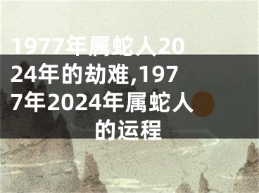 1977年属蛇人2024年的劫难,1977年2024年属蛇人的运程
