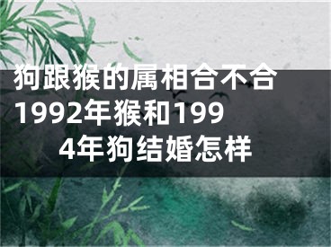 狗跟猴的属相合不合 1992年猴和1994年狗结婚怎样