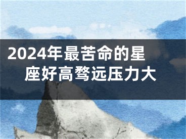 2024年最苦命的星座好高骛远压力大