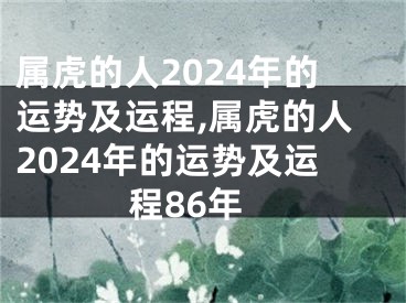 属虎的人2024年的运势及运程,属虎的人2024年的运势及运程86年