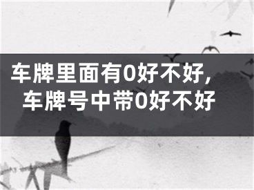 车牌里面有0好不好,车牌号中带0好不好