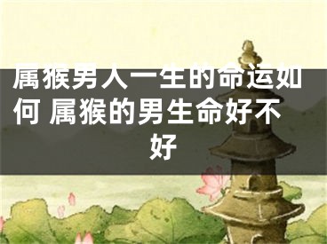 属猴男人一生的命运如何 属猴的男生命好不好