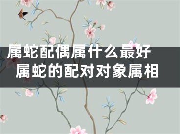 属蛇配偶属什么最好 属蛇的配对对象属相