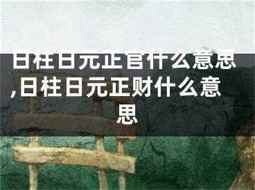 日柱日元正官什么意思,日柱日元正财什么意思