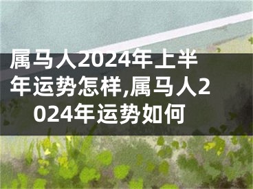 属马人2024年上半年运势怎样,属马人2024年运势如何