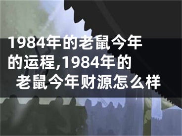 1984年的老鼠今年的运程,1984年的老鼠今年财源怎么样