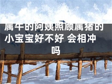 属牛的阿姨照顾属猪的小宝宝好不好 会相冲吗