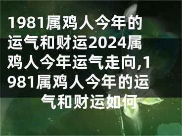 1981属鸡人今年的运气和财运2024属鸡人今年运气走向,1981属鸡人今年的运气和财运如何