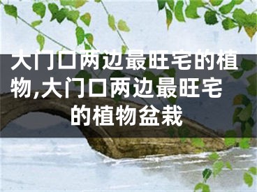大门口两边最旺宅的植物,大门口两边最旺宅的植物盆栽