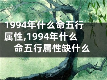 1994年什么命五行属性,1994年什么命五行属性缺什么