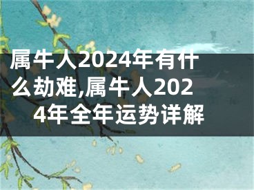 属牛人2024年有什么劫难,属牛人2024年全年运势详解
