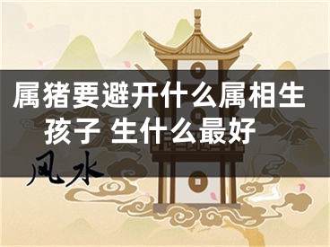 属猪要避开什么属相生孩子 生什么最好