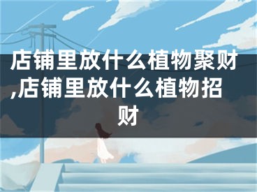 店铺里放什么植物聚财,店铺里放什么植物招财