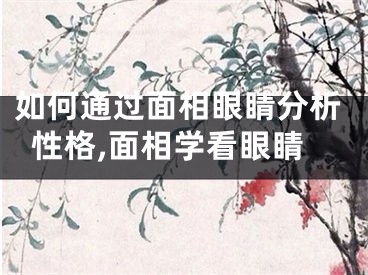 如何通过面相眼睛分析性格,面相学看眼睛