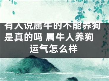 有人说属牛的不能养狗是真的吗 属牛人养狗运气怎么样